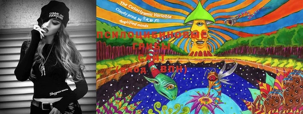 марки lsd Горняк