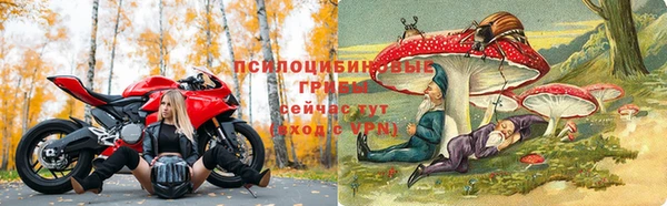 марки lsd Горняк